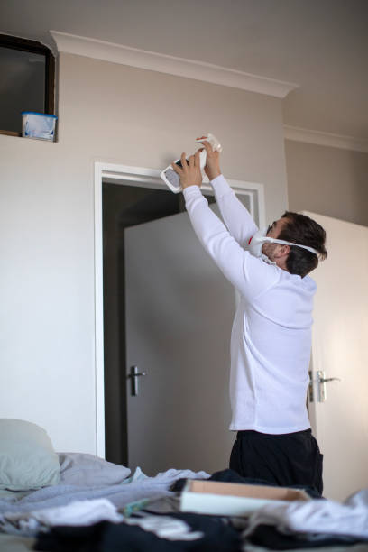 Best Comprehensive Air Testing for Mold Contaminants  in Essex Village, CT