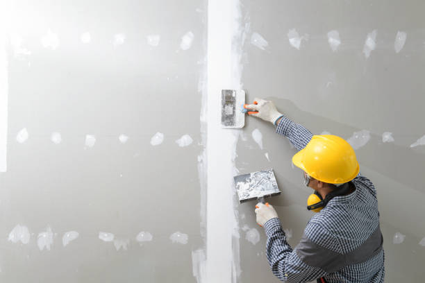 Best Emergency Mold Remediation  in Essex Village, CT