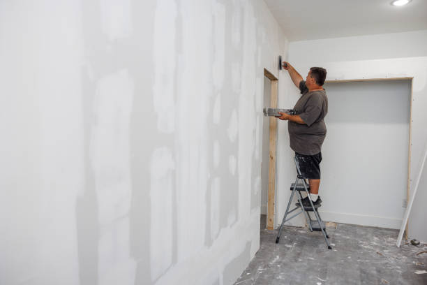 Best Mold Prevention Services  in Essex Village, CT