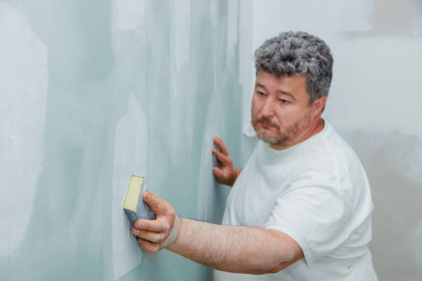 Best Environmental Consulting for Mold Prevention  in Essex Village, CT